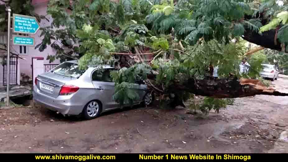 210420 Vinobanagara Heavy Rain in Shimoga tree fall 1