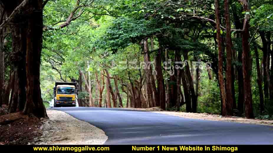 ತೀರ್ಥಹಳ್ಳಿ, ಸಾಗರದ 31 ಕಡೆ ಸೂಕ್ಷ್ಮ ಪ್ರದೇಶ, ಅಲ್ಲೆಲ್ಲ ಜನ ಕಾಡಿಗೆ ಹೋಗುವಂತಿಲ್ಲ, ಯಾಕೆ? ಎಲ್ಲೆಲ್ಲ ನಿರ್ಬಂಧವಿದೆ ಗೊತ್ತಾ?