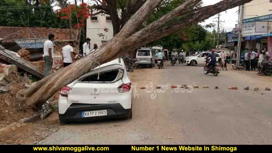 ಶಿವಮೊಗ್ಗ ನಗರದಲ್ಲಿ ಕಾರಿನ ಮೇಲೆ ಉರುಳಿದ ಮರ, ಸ್ವಲ್ಪದರಲ್ಲೇ ತಪ್ಪಿತು ಭಾರೀ ಅನಾಹುತ