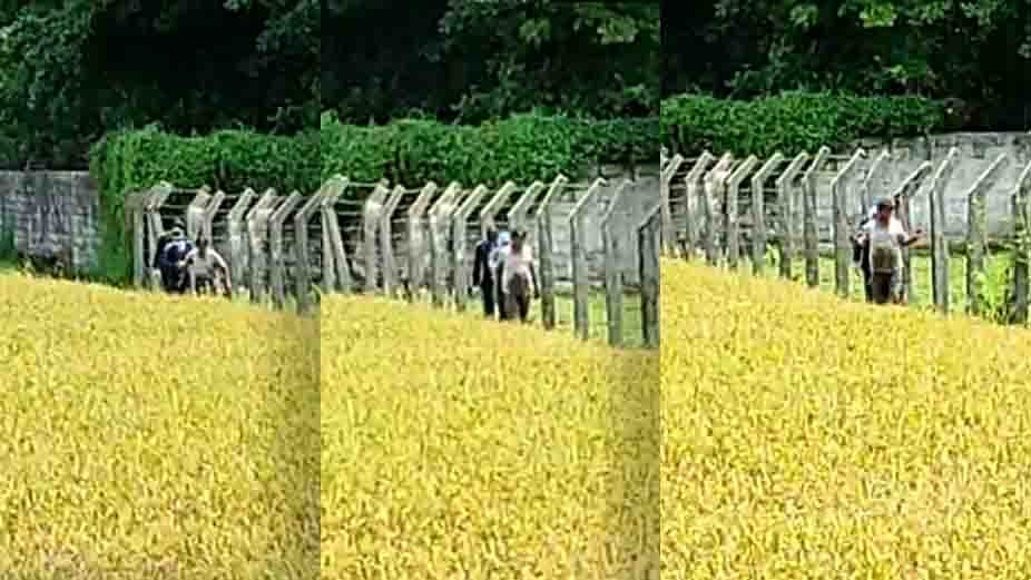 080521 Covid Patient Escapes from hospital 1