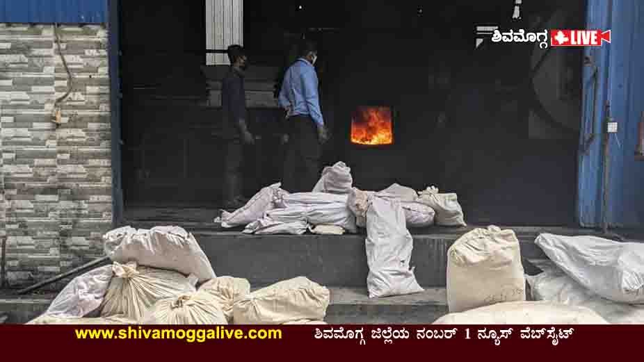 ಶಿವಮೊಗ್ಗ ಪೊಲೀಸರಿಂದ ಮಾಚೇನಹಳ್ಳಿಯಲ್ಲಿ 637 ಕೆ.ಜಿ. ಗಾಂಜಾ ನಾಶ 3 260621 Ganja Burnt at Machenahalli in Shimoga 1