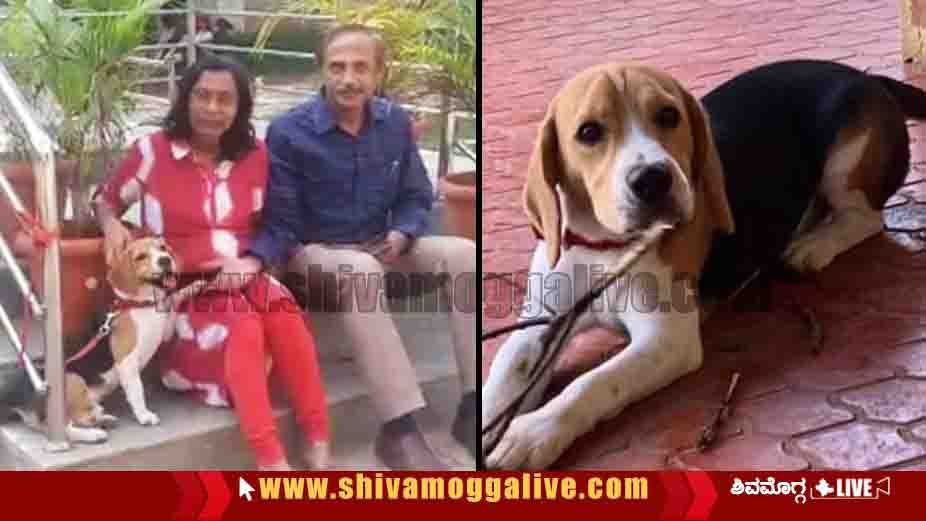 061221 Dog Theft Found at Shimoga Jayanagara Police Station