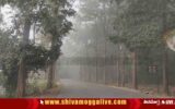 Mist-During-Winter-Near-Mandagadde