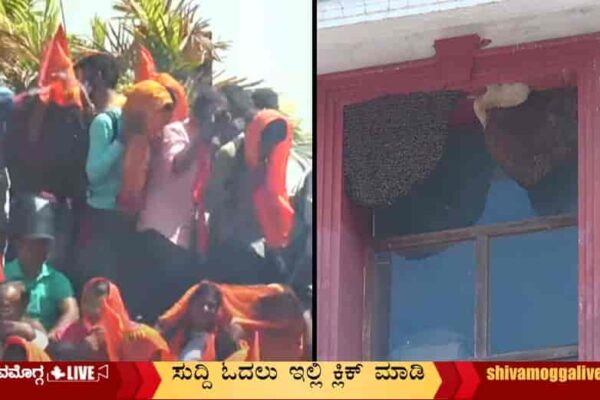 Honey-Bee-attack-During-Protest