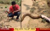 snake-eats-dog-at-vidyanagara-Shimoga-Snake-Kiran