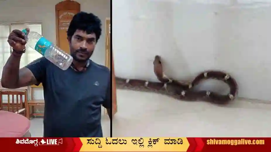 Snake-caught-in-Shimoga-district-court