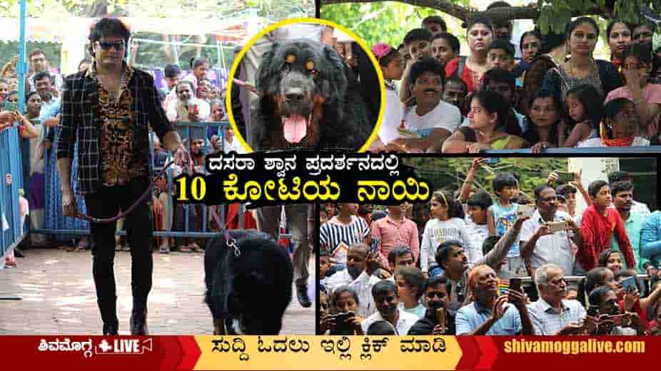 -ten-crore-rupees-dog-in-dog-show