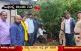Ganja-Plant-seized-one-arrest.