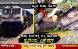 Train-Collides-with-bison-near-Sagara