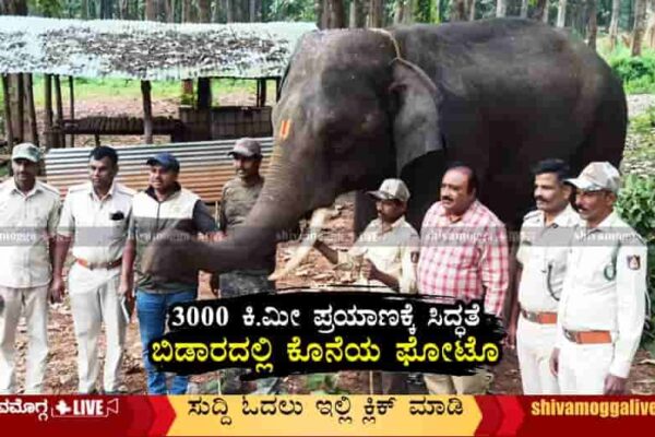 Surya-Elephant-to-be-transferred-to-Uttar-Pradesh