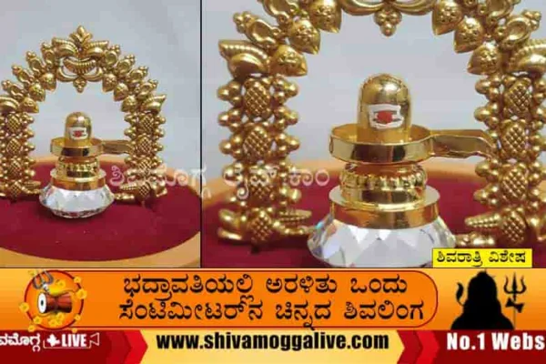 Gold-Shivalinga-By-Sachin-Varnekar-in-Bhadravathi