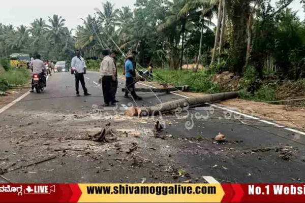 Tree-and-Electric-Pole-fell-in-Mattur-Road-in-Shimoga