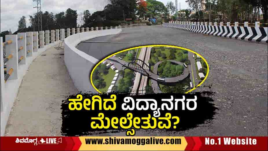 Railway-Over-Bridge-Work-at-Vidyanagara-in-Shivamogga-city.