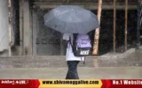 Maxx-Hospital-lady-Staff-walking-holding-umbrella-in-Rain