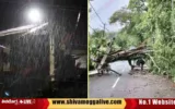 Tree-Falls-in-Shimoga-thirthahalli-road-due-to-rain