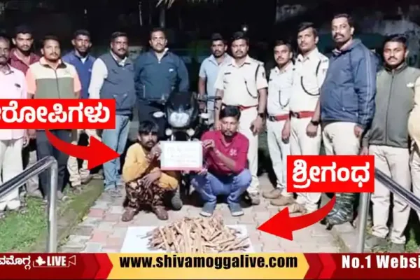 080923-Srigandha-Thieves-arrest-at-Lakkavalli-by-Bhadravathi-Forest-officials.webp
