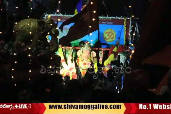 Hindu-Mahasabha-Ganpathi-procession-during-night