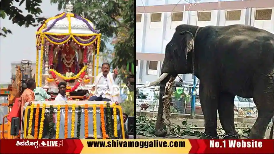 dasara-procession-sagara-elephant