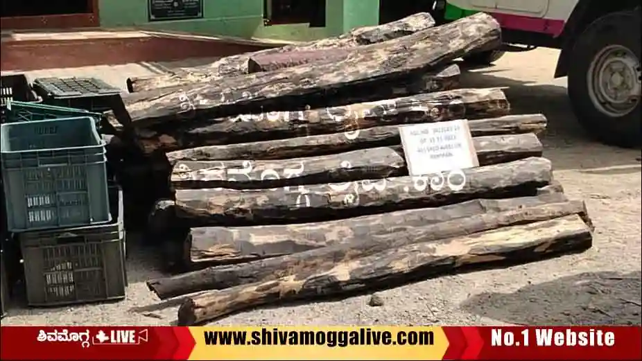 ಶಿವಮೊಗ್ಗದಲ್ಲಿ ಲಕ್ಷ ಲಕ್ಷ ಮೌಲ್ಯದ ಅತ್ಯಂತ ಅಪರೂಪದ ನಾಟ ವಶ, ರಾಜ್ಯದಲ್ಲೇ ಮೊದಲು ಇಂತಹ ಪ್ರಕರಣ