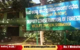 Wild-Life-division-DCF-forest-department-shimoga