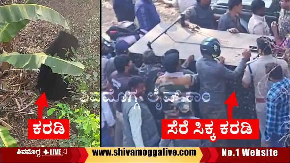 280224 Operation Bear in Shimoga Gopalagowda Layout