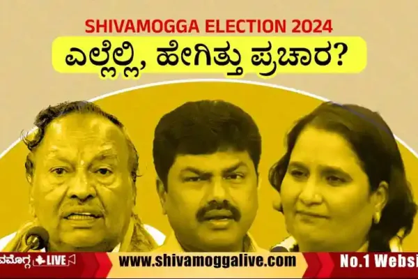 Loksabha-Election-campaign-general-image