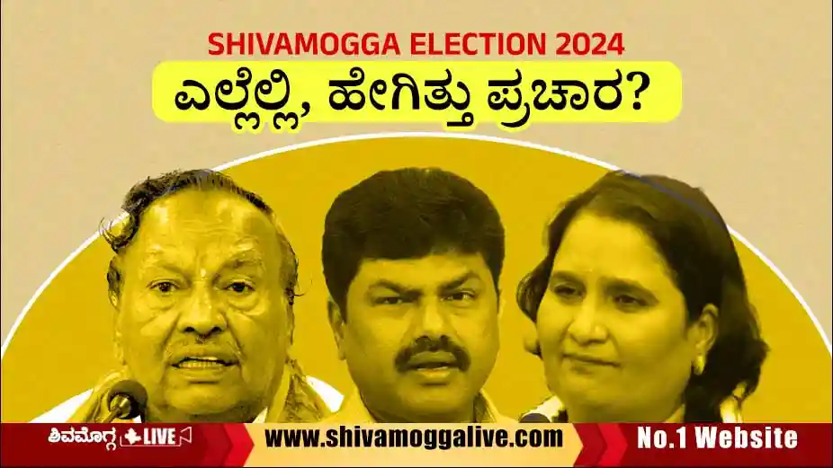 Loksabha-Election-campaign-general-image