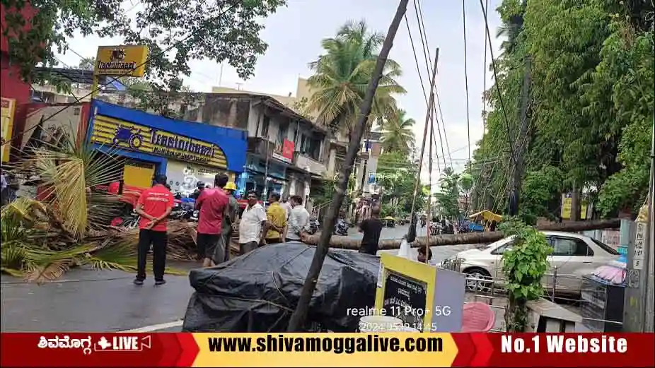 tree-uproot-in-Ot-Road-in-Shimoga-