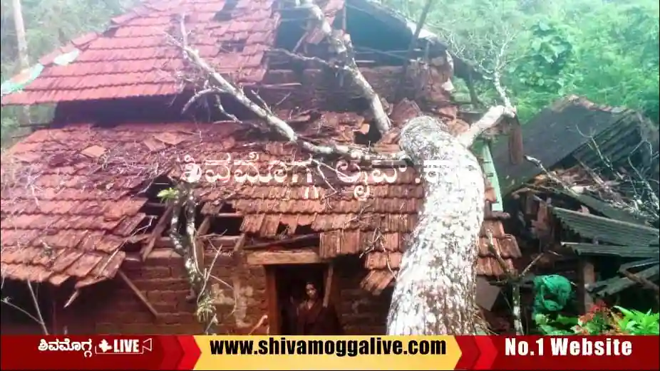 tree-fall-on-house-at-yedajigalemane-in-Sagara