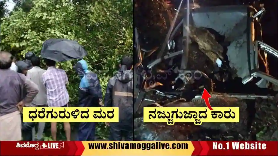 Tree-fall-in-Sagara-Sigandur-road