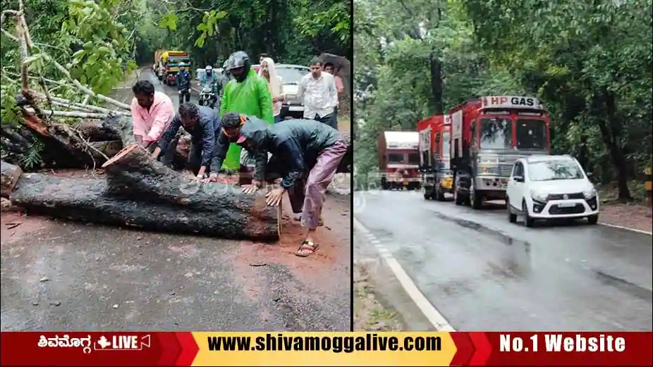 tree-uproot-near-mulegadde-in-hosangara.