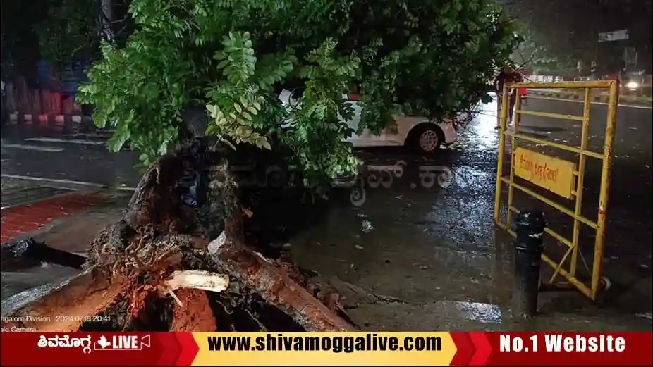 tree-fall-on-car-in-Shimoga-city