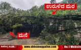 260724 tree falls on nurses quarters house in Shimoga