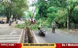 Tree-Falls-on-Balaraj-urs-road-in-Shimoga