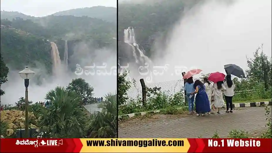 jog-falls-after-linganamakki-dam-water-reach
