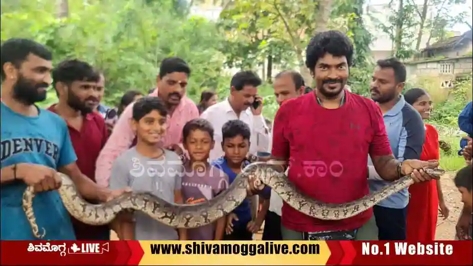 snake-rescued-by-snake-kiran-at-kurubara-palya