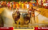 Kambala-to-be-organized-in-Shimoga.