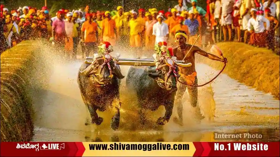 Kambala-to-be-organized-in-Shimoga.