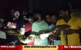 python-rescued-by-snake-kiran-in-shimoga-gadikoppa