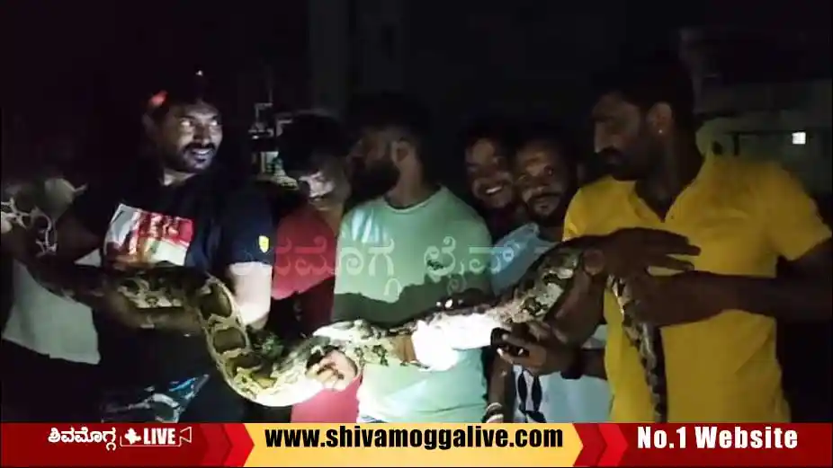 python-rescued-by-snake-kiran-in-shimoga-gadikoppa