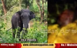 elephant-attack-on-woker-near-puradal-