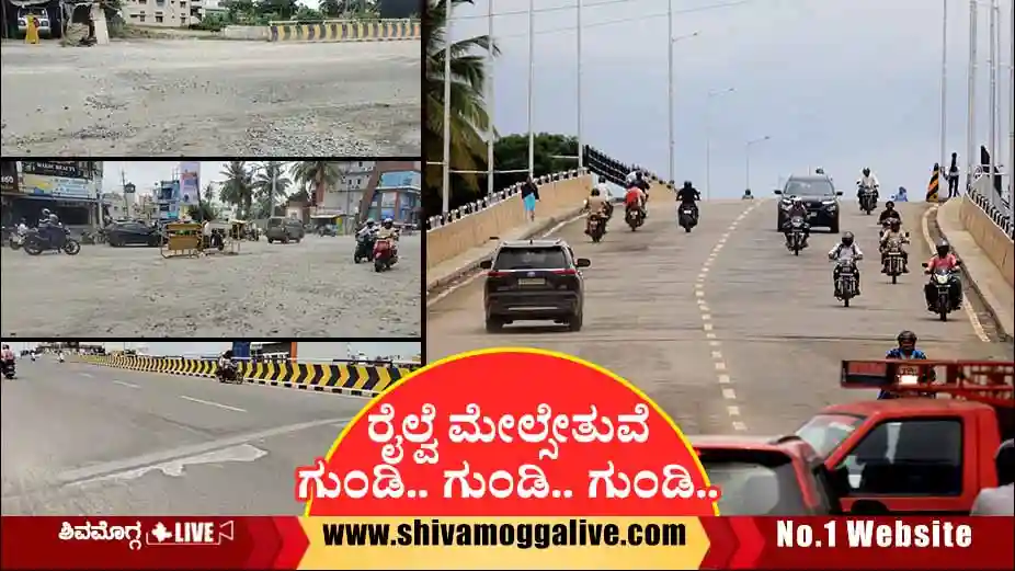 ಸವಳಂಗ ರಸ್ತೆ ಮೇಲ್ಸೇತುವೆ, ಒಂಭತ್ತೇ ತಿಂಗಳಲ್ಲಿ ಇದೆಂಥಾ ಅವಸ್ಥೆ?