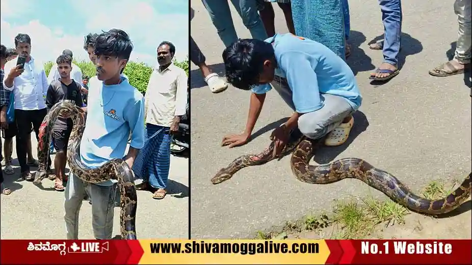 Python-saved-by-ayanuru-youths