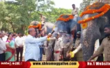 Dasara-Elephant-invitation-at-sakrebyle-MLA-channabasappa