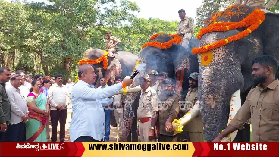 Dasara-Elephant-invitation-at-sakrebyle-MLA-channabasappa