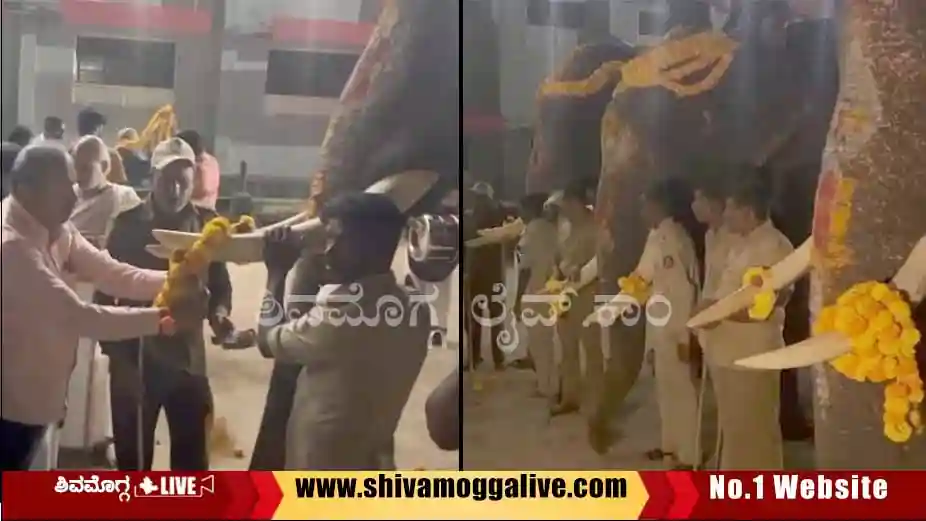 041024 sakrebyle elephants comes to shimoga dasara 1