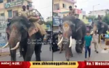 051024 Elephants training started in Shimoga for dasara