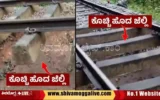 Railway-track-near-suduru-in-Shimoga-taluk.