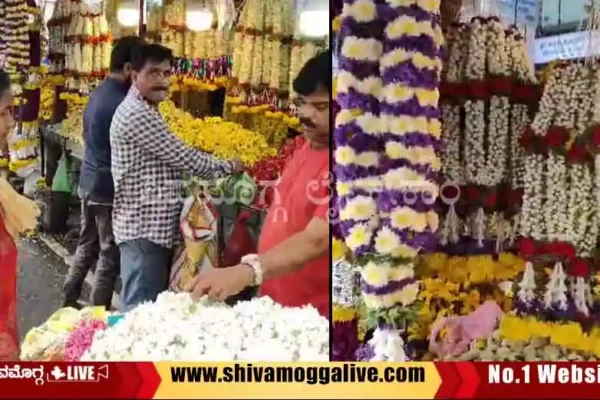 navarathri-purchase-in-shimoga.