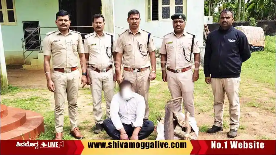 Forest-Officials-arrest-sandalwood-cutter